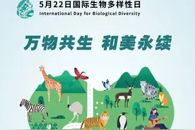 国际生物多样性日 | 五大国家公园邀您一起“万物共生 和美永续”！图片