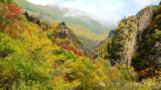 假期做个“山系”青年？来河北，就对了→
