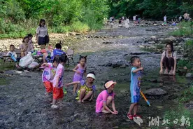 河畔戏水享清凉图片