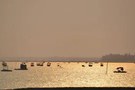 “湛美乡村，设计赋能”调研起航！挖掘滨海乡村的“宝藏密码”图片