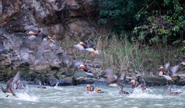 水做的无锡，如何去读？