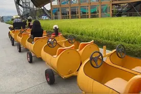 成都近郊体验绿道运动生活｜国庆Vlog图片