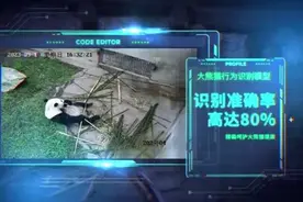 00后大学生研发全球首个大熊猫“AI奶爸”图片