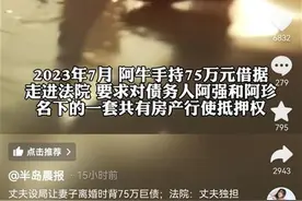 丈夫找长得像妻子的神秘女子精心设局，妻子离婚后方知背了75万元的债务图片