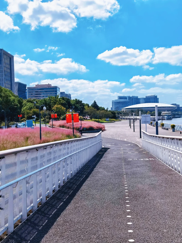 上海市区人少免费的绝美粉黛花海！还能与陆家嘴三件套同框→