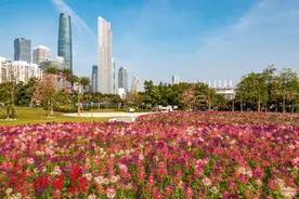 今天11时比昨天下降5.9℃！广州气温满减活动开始图片