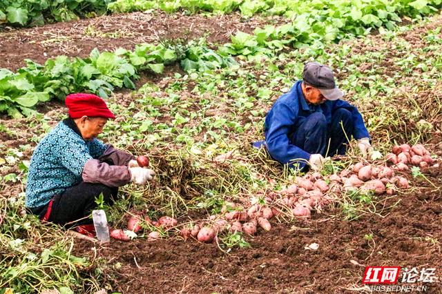 秋游时刻丨这片潇水边的沃土，才是秋天最不该错过的风景