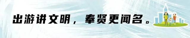 旅游节玩出新花样→第二届上海国际光影节奉贤分会场亮点剧透