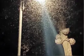 广东一地出现“蚊卷风”！市民：不敢说话，怕飞嘴里……图片