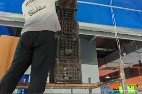 小猫被困宣城一市场手扶梯内  一个多月后终于被成功救出图片