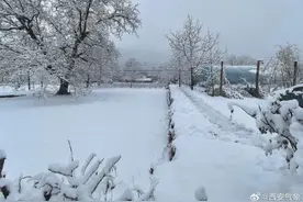 西安这里中到大雪！陕西部分高速收费站入口临时管控→图片