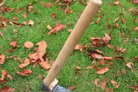 那辆褪色的三轮车｜语闻·阅历图片