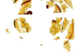 流失近80年后回家！美国博物馆向中方归还楚帛书图片