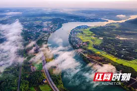 零陵：守望湿地 护航候鸟图片