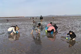 春日青岛赶海走起！收好这份赶海指南图片