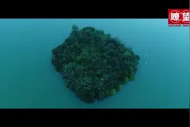 瞭望·治国理政纪事 | 追“绿”逐“蓝”，探路共生——江苏盐城探索推进人与自然和谐共生的现代化图片