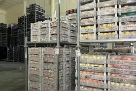 果然财经｜田间枝头直达海南新疆，蒙阴桃卖出了“十万八千里”图片