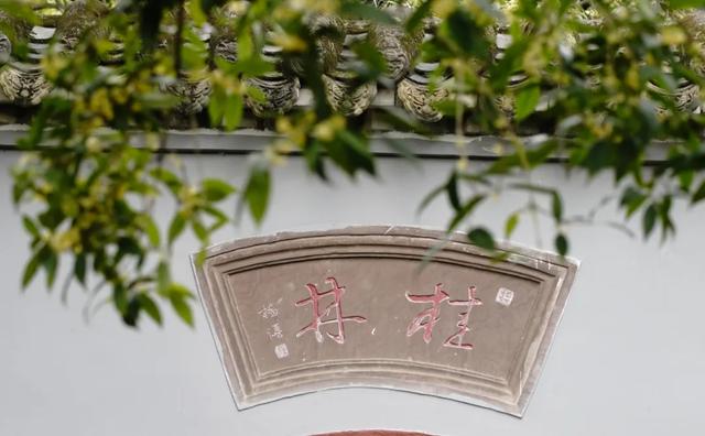 桂香迎贵客,这份寻香指南请查收