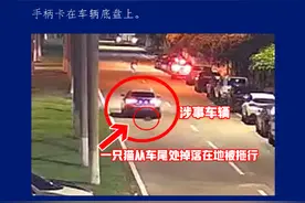 海口警方通报网传“宝马车拖行小猫致死”：为意外情况图片