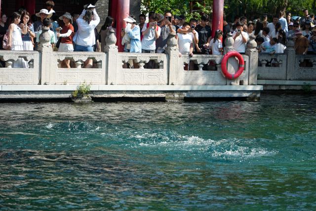 济南：趵突泉重现“水涌若轮”美景