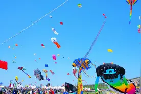 第42届潍坊国际风筝会暨2025潍坊风筝嘉年华即将盛大启幕图片