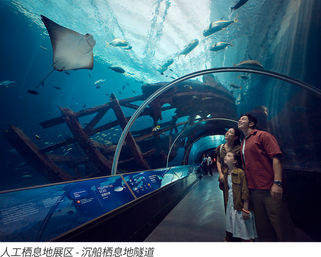 新加坡圣淘沙名胜世界：未来的另一种答案