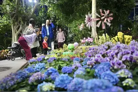 大年初二北京公园游客量攀升，近38万人公园里过大年图片