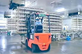 优化接种流程 山东农发鹿茸菇种植基地实现“三升一降”图片