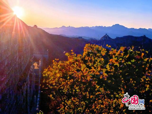 金山岭秋色如梦似幻 长城好事成“霜 ”喜从天降