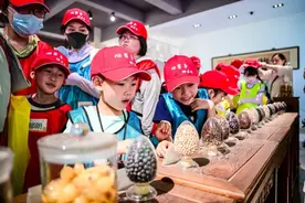 海派乡村新图景丨海派乡村好去处：绿野仙踪，惠和种业开启产教融合的研学之旅图片