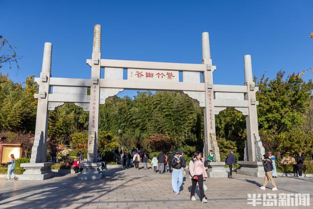 青岛故事｜五彩斑斓的秋日青岛，你怎能不爱？