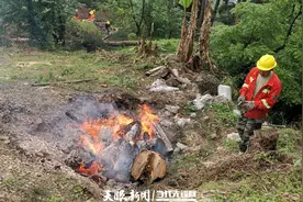 【生态保护】9万亩松林区投放10余吨药剂诱捕天牛｜贵阳防控林业有害生物获授“全国先进”图片