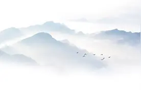 再忆中国友人泰戈尔图片