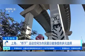 上海“桥下”空间变室外运动场！能踢足球、打篮球，还能玩飞盘→图片