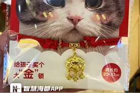 福州宠物金饰走俏，“毛孩子”新年也时尚图片