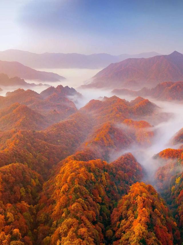 双节消费洞察｜文旅消费热力迸发，中秋国庆“双节”量质齐升