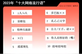 “十大网络流行语”公布：显眼包、特种兵旅游等入选图片