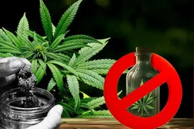 出境人员如何远离大麻风险？毒品没有“安全区”！图片