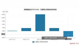 业绩大幅下滑，陕西黑猫拟吸收合并两全资子公司图片