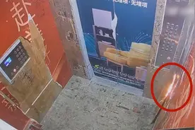 安徽淮南一男孩在电梯内点火，当地：轿厢烧坏无人受伤，家长正与物业协商图片