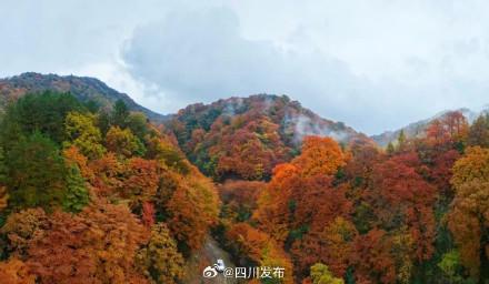 旺苍米仓山红叶迎来了最佳观赏期