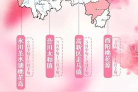重庆最新桃花观赏地图出炉，浪漫春日盛宴即将开启！图片