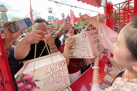 8000斤广西合浦香山鸡嘴荔枝赠西安市民品鉴图片