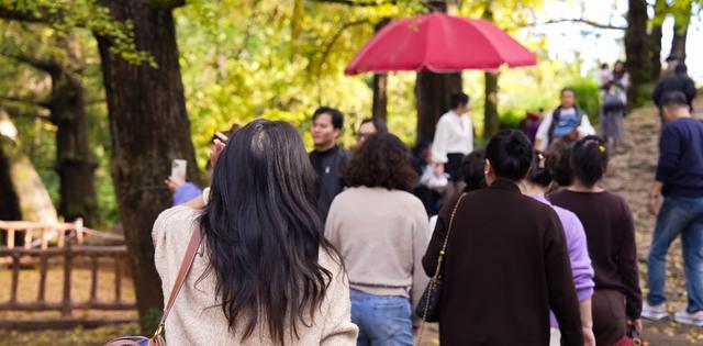 来金色妥乐 赏深秋美景