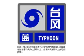 上海刚刚发布台风蓝色预警！这些防范提示请收藏图片