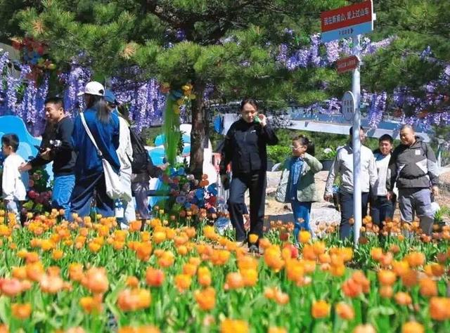 “齐鲁1号”开行一周年，“好客山东”新玩法撬动文旅大消费