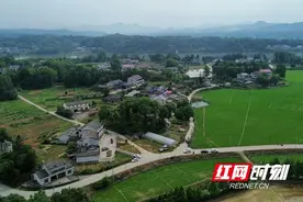 桃江大栗港大桥正式启动征地拆迁图片