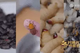 它张牙舞爪，你非要咬它一口？给个理由！图片