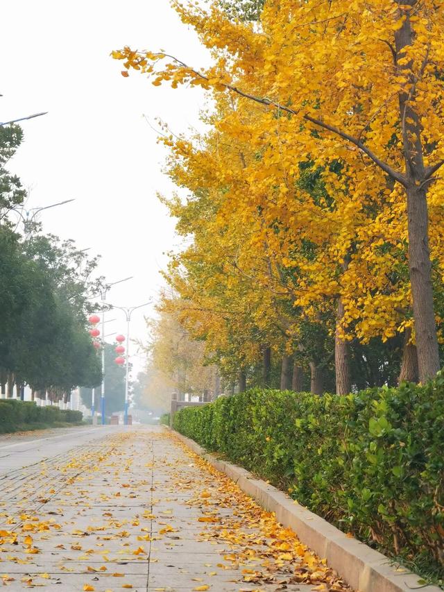 别眨眼，接下来的新干是这样的→