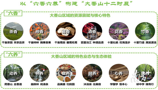 计划年底开放！大湾区首个“香养”度假区就在高明，亮点提前揭秘→